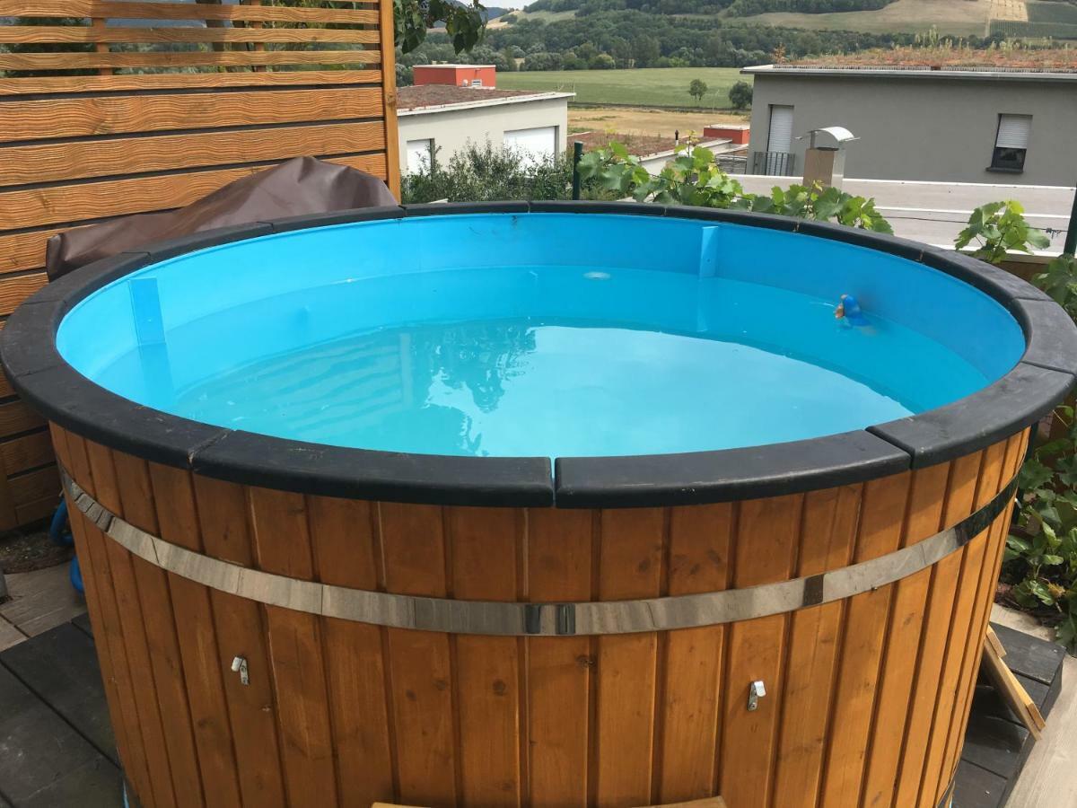 Romantische Ferienwohnung Mit Fantastischem Ausblick, Pool Und Gartensauna Jena Exterior photo